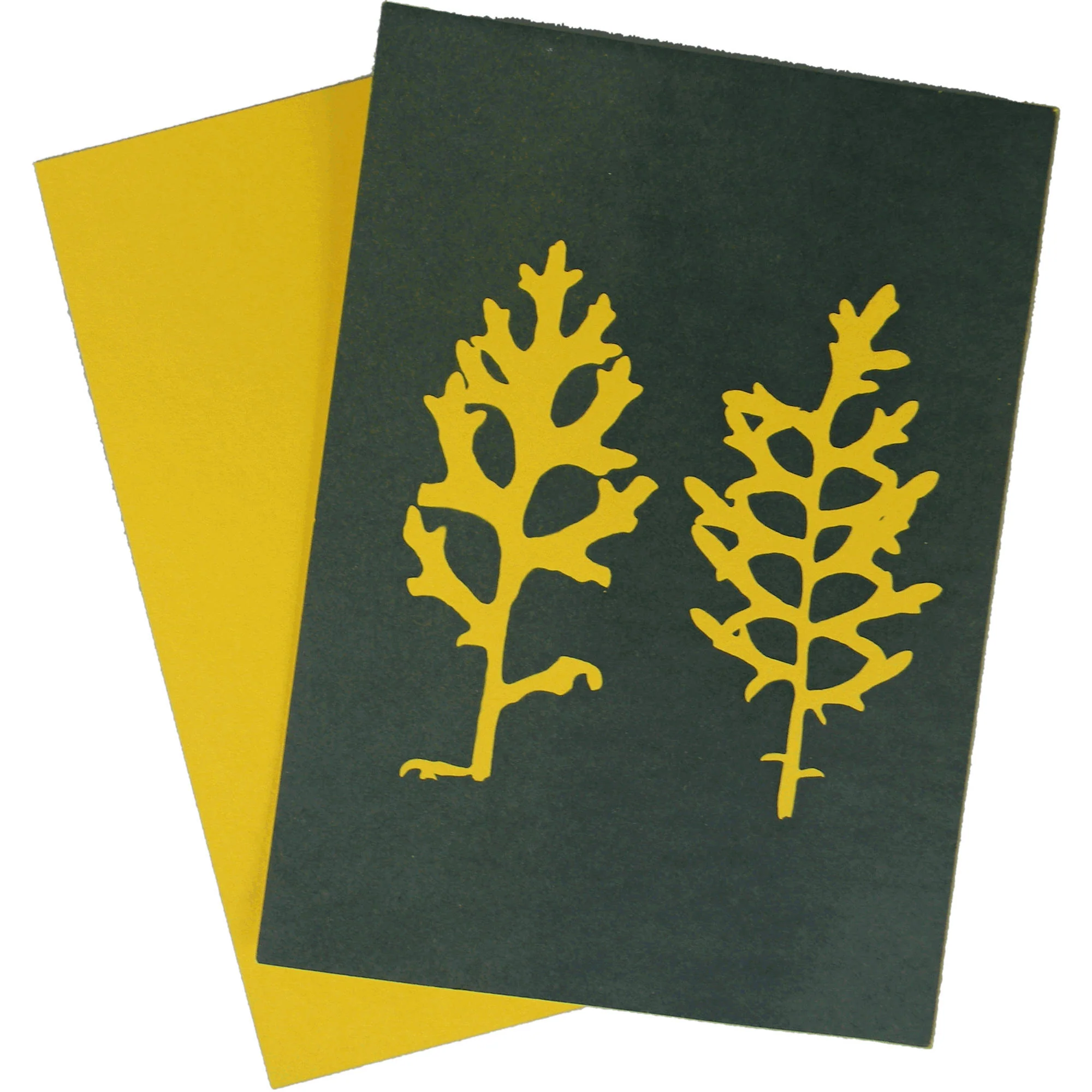 Cyanotype Store Cyanotype Paper (5 x 7", Lemon Yellow, 48 Sheets) - Image 3
