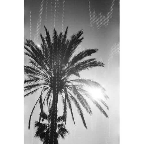 dubblefilm Glitch 200 B&W Negative Film (35mm Roll, 36 Exposures) - Image 4
