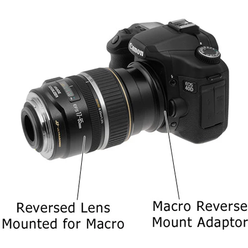 FotodioX 77mm Reverse Mount Macro Adapter Ring for Canon EOS-Mount Cameras - Image 5