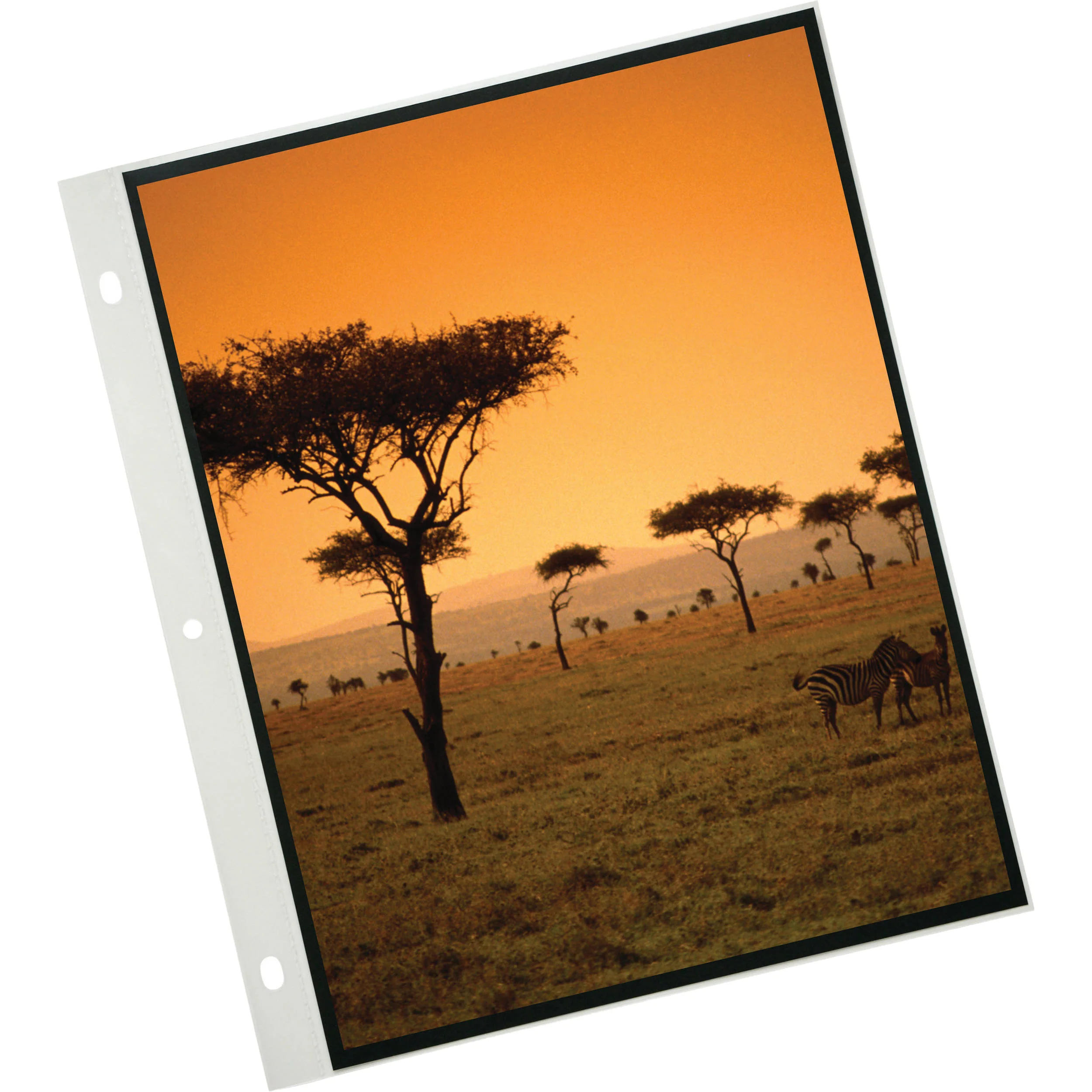 Itoya Art Profolio PolyGlass Pages (8.3 x 11.7", 10-Pack) - Image 4