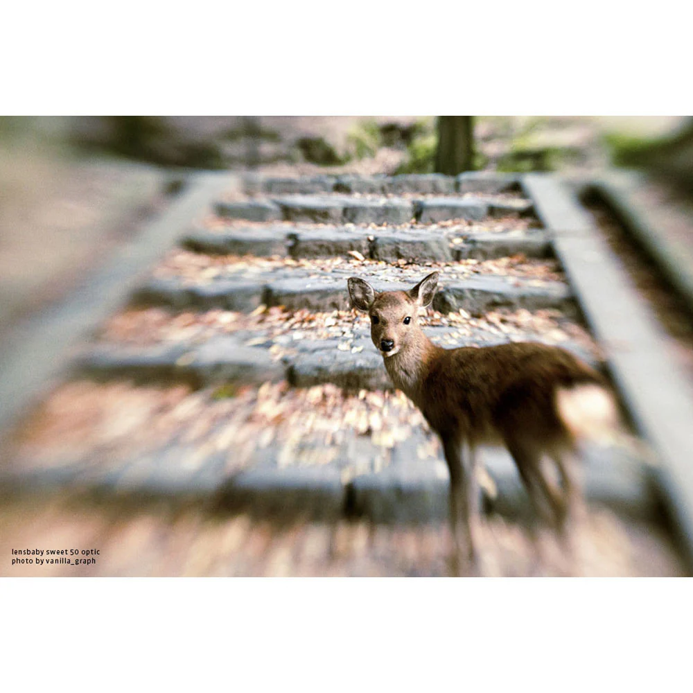 Lensbaby Composer Pro II with Sweet 50 Optic for Canon EF - Image 4