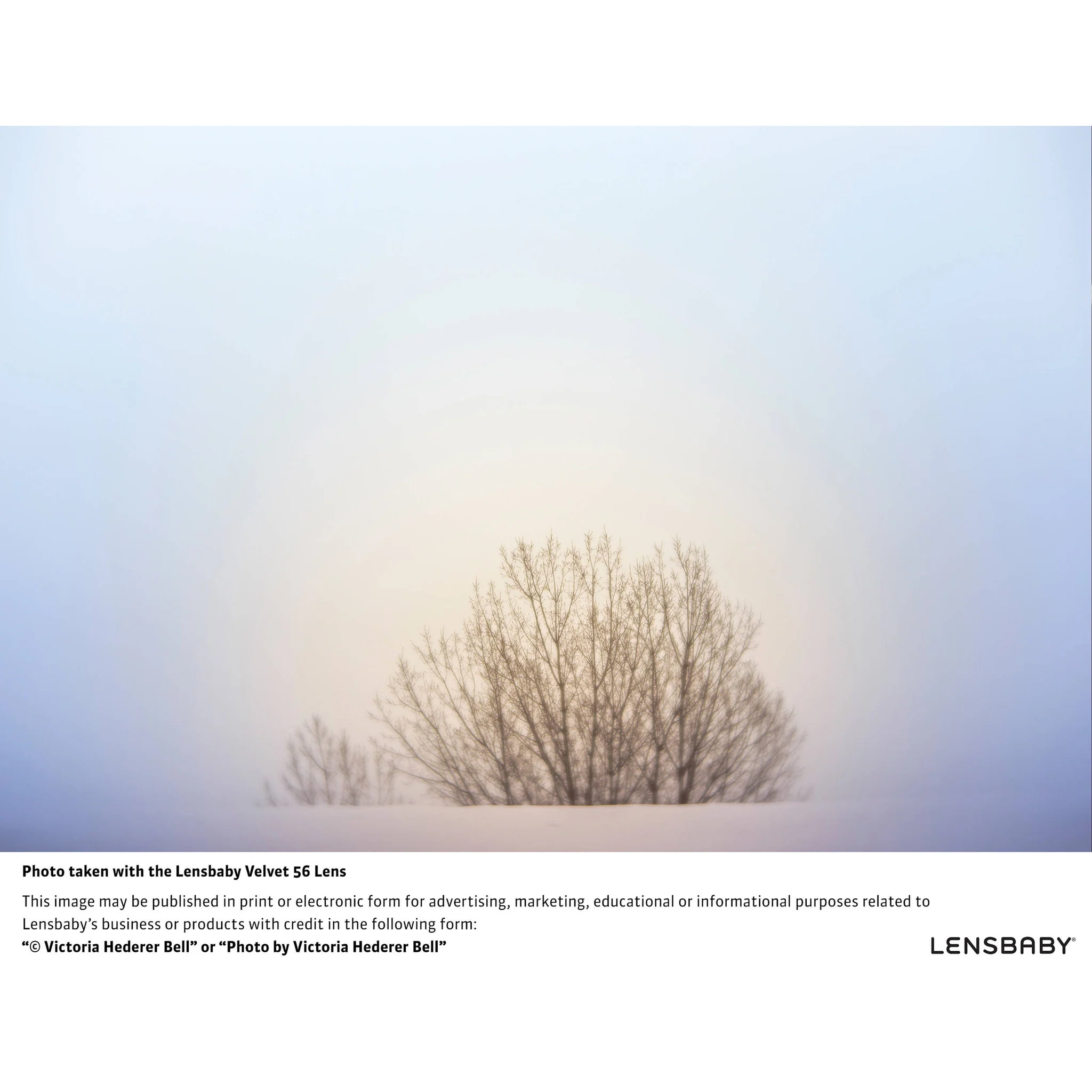 Lensbaby Velvet 56mm f/1.6 Lens for Sony E - Image 11