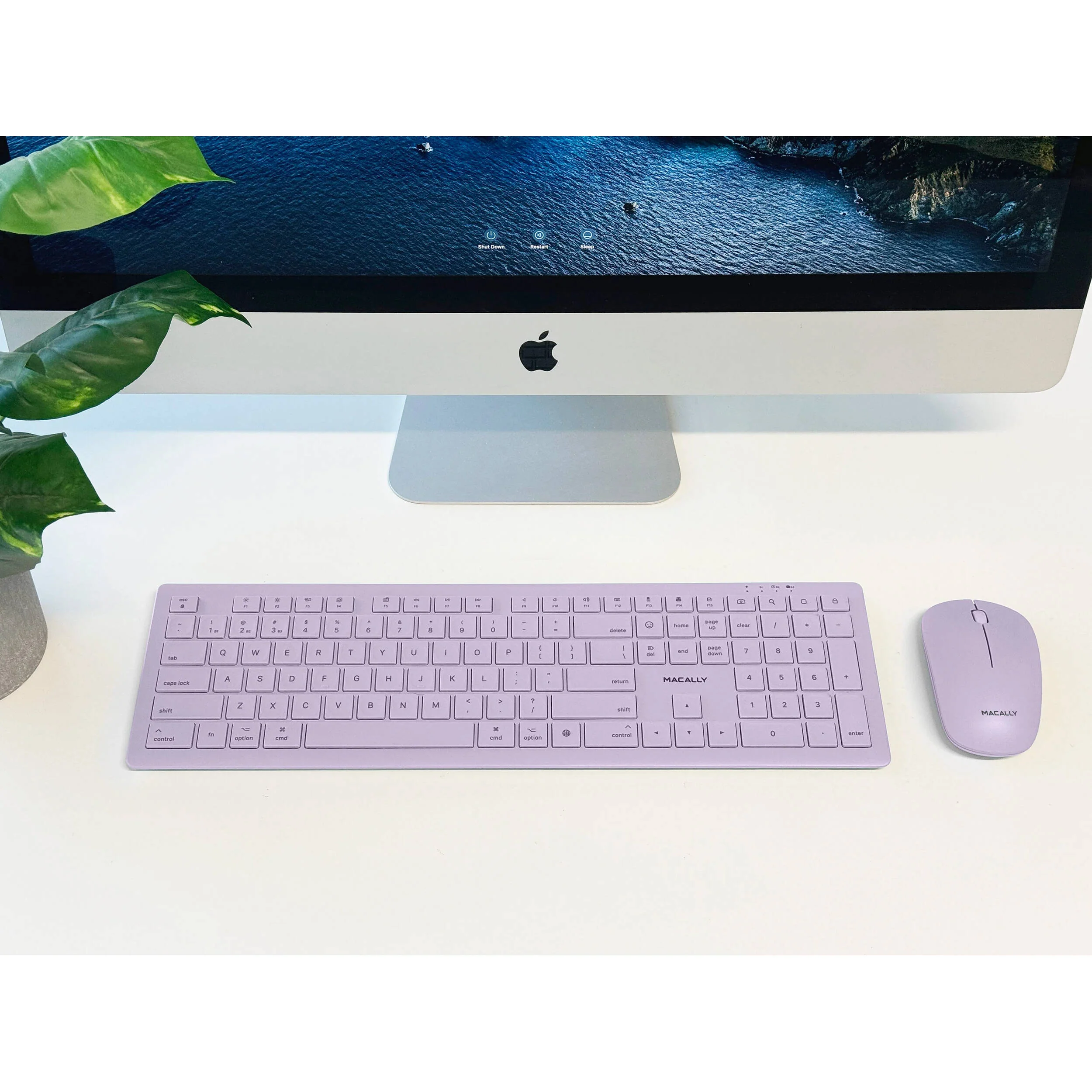 Macally Wireless Bluetooth Keyboard and Mouse Combo for Mac (Lavender Purple) - Image 7