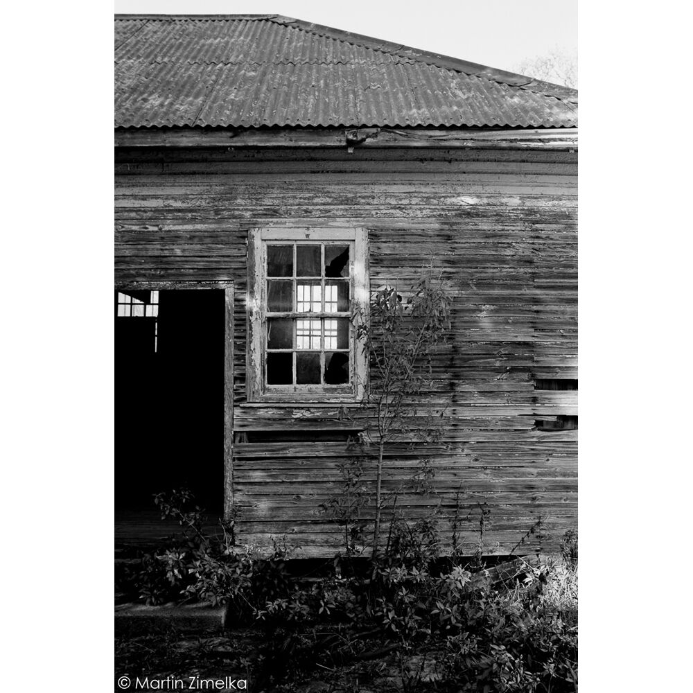 Rollei Ortho 25 Plus Black and White Negative Film (4 x 5", 25 Sheets) - Image 3