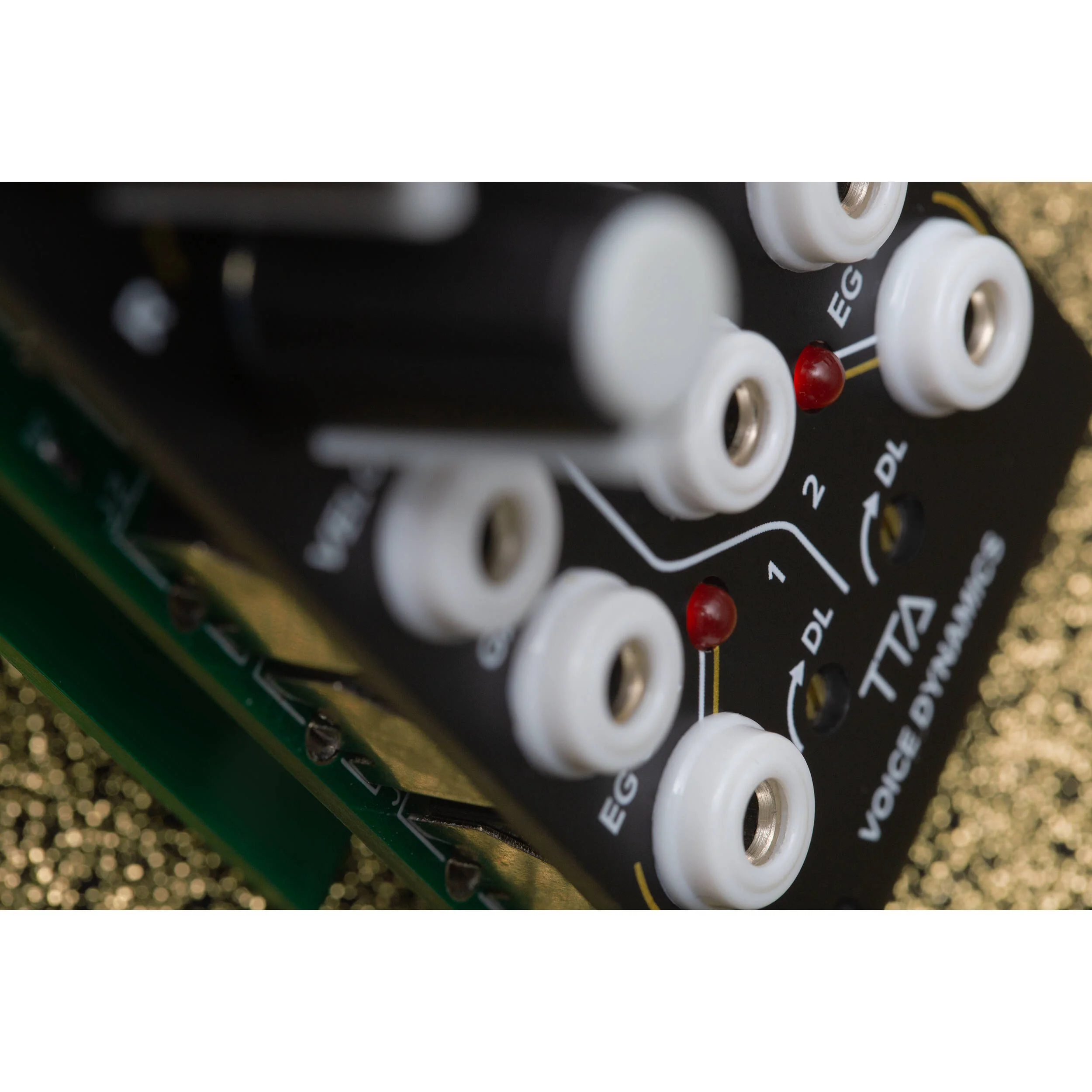 TipTop Audio Control Path Voice Dynamics Eurorack Module (8 HP) - Image 2
